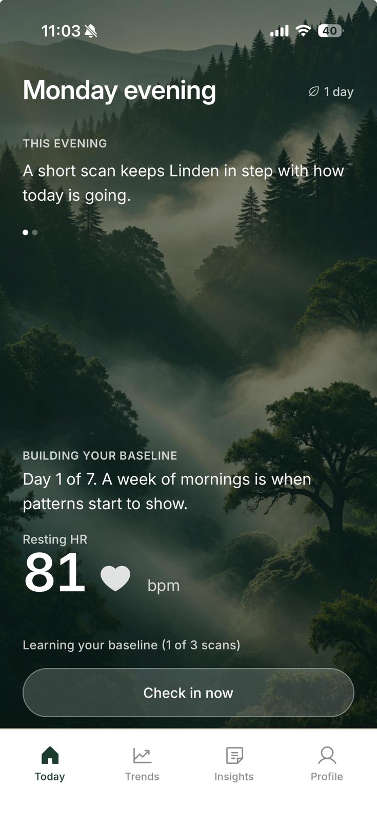 Linden's Today screen showing a resting heart rate of 81 bpm against a misty forest